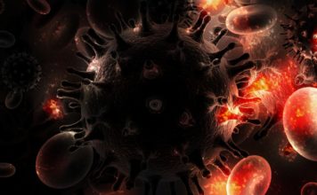 Científicos logran eliminar el virus del VIH en animales vivos - Itagüí Hoy