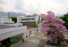 No hay camas UCI en Envigado, ocupación está al 100% | #EnvigadoHoy