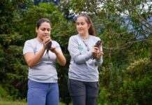 19 animales silvestres recobraron la libertad en Envigado - EnvigadoHoy