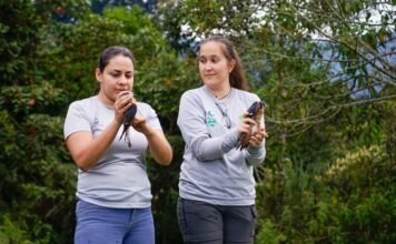19 animales silvestres recobraron la libertad en Envigado - EnvigadoHoy
